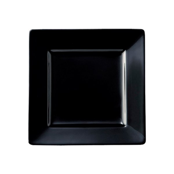 KANESUZU　テトラ　15cm正角皿（Black）　37113356