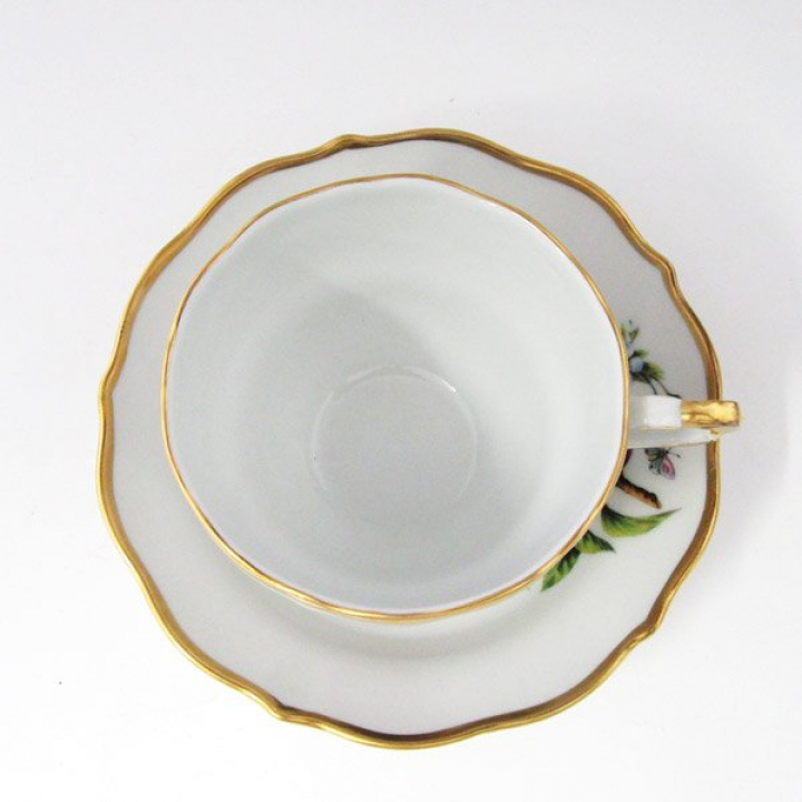 【倉庫取り寄せ商品】リンドナー フルーツ（プラム） コーヒーカップ&ソーサー